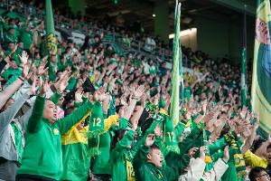 博主:新赛季主场观赛体验提升,工体获准销售无醇啤酒